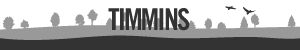 Timmins